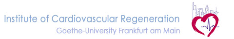 Institute of Cardiovascular Regeneration