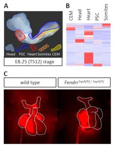 Fig.jpg_2