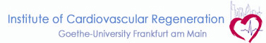 Logo Institute of Cardiovascular Regeneration
