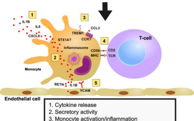Clonal Hematopoiesis-Driver DNMT3A Mutations Alter Immune Cells in Heart Failure