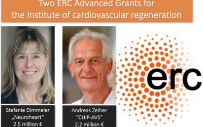 2 ERC Advanced Grants for the ICR