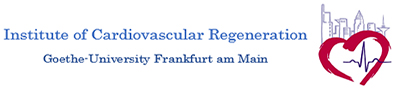 Logo Institute of Cardiovascular Regeneration