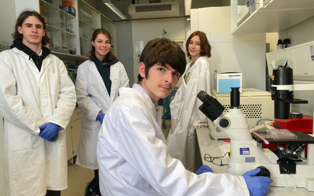 As part of Uni:Hautnah programs, the ICR hosted medical students from Ukraine