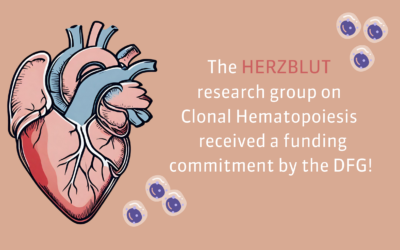 HERZBLUT research group receives DFG funding