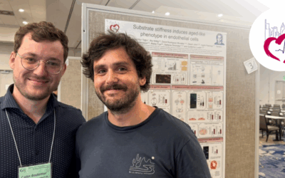 Poster Prize for Colin Bodemer & Young Investigator Award for Guillermo Luxàn