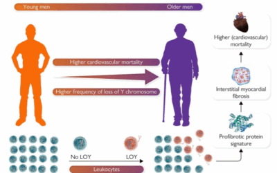 Mosaic loss of Y chromosome and mortality after coronary angiography