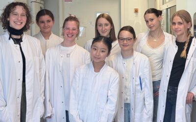 Hands-on Science: Girls’ Day 2026 at the Institute for Cardiovascular Regeneration