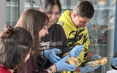 UNI:hautnah – University Up Close: Insights into Medical Education and Research