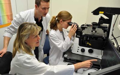 How non-coding RNAs might revolutionize the treatment of cardiovascular diseases