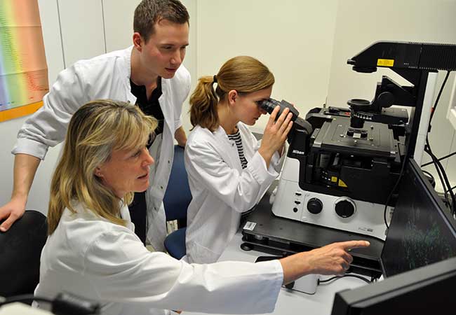How non-coding RNAs might revolutionize the treatment of cardiovascular diseases